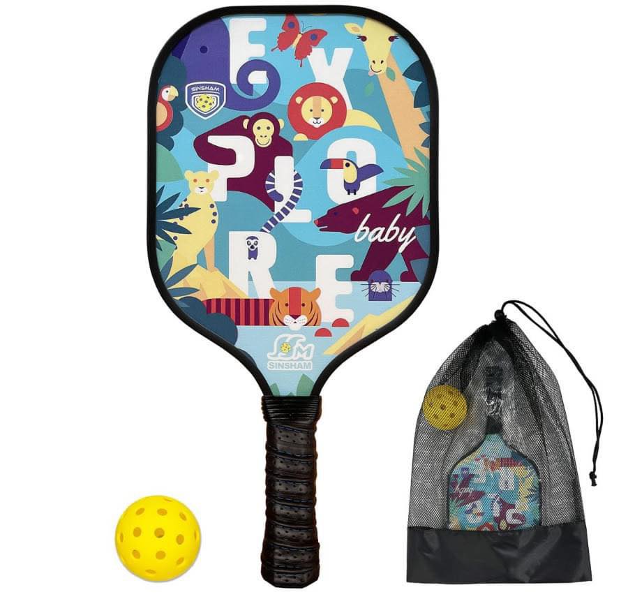 Vợt Pickleball chính hãng giá rẻ Vinh Nghệ An Hà Tĩnh